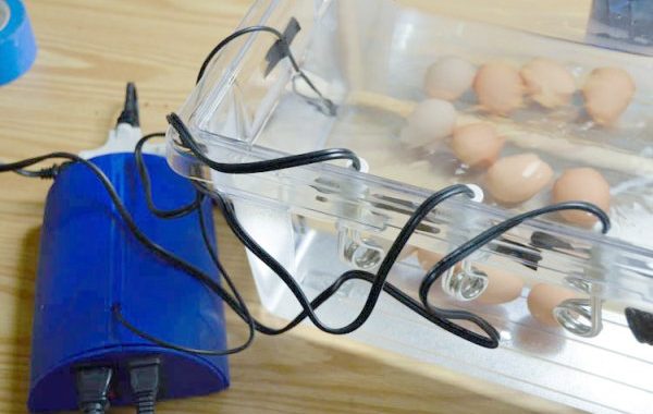 Final Project: built a sous-vide immersion cooker