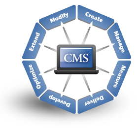 what is CMS Website
