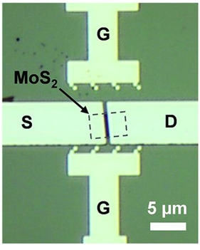 Optical image The Tiniest 1nm Gate Transistor