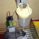 AUTOMATIC RABBIT FEEDING SYSTEM 2