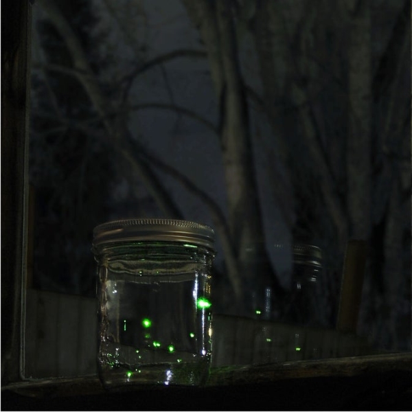 Jar-of-Fireflies