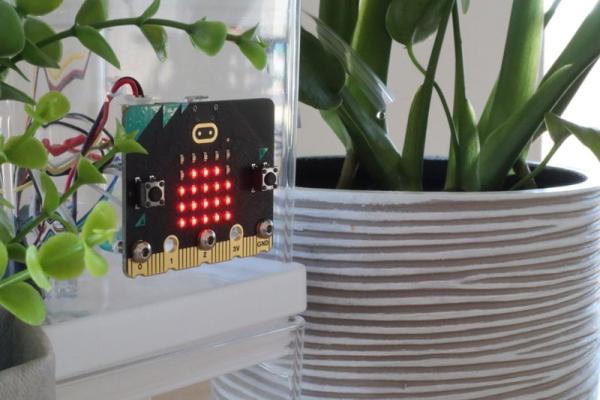Automatic Plant Watering System Using a Micro bit
